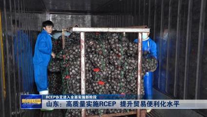 RCEP協(xié)定進(jìn)入全面實(shí)施新階段——山東高質(zhì)量實(shí)施RCEP提升貿(mào)易便利化水平，推動貨物進(jìn)出口發(fā)展